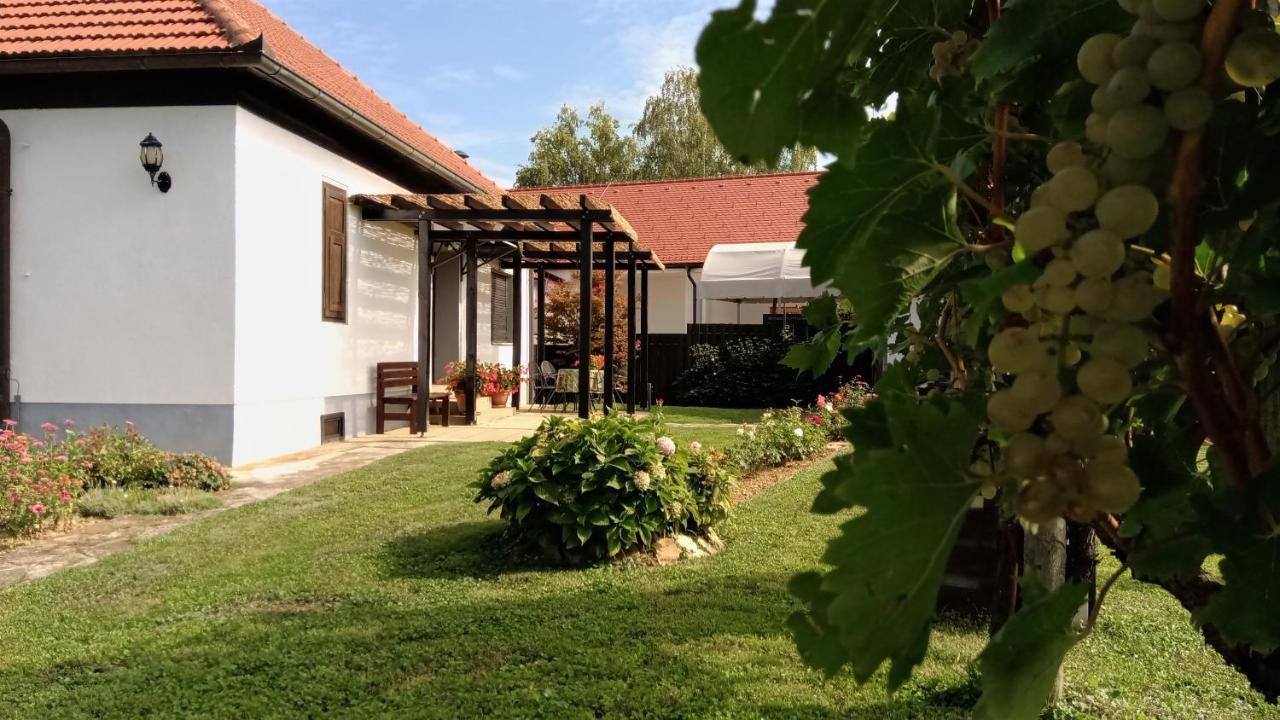 Villa Pocitniska Hisa Kog Extérieur photo